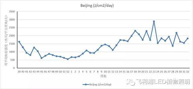 北京周年光照积累量