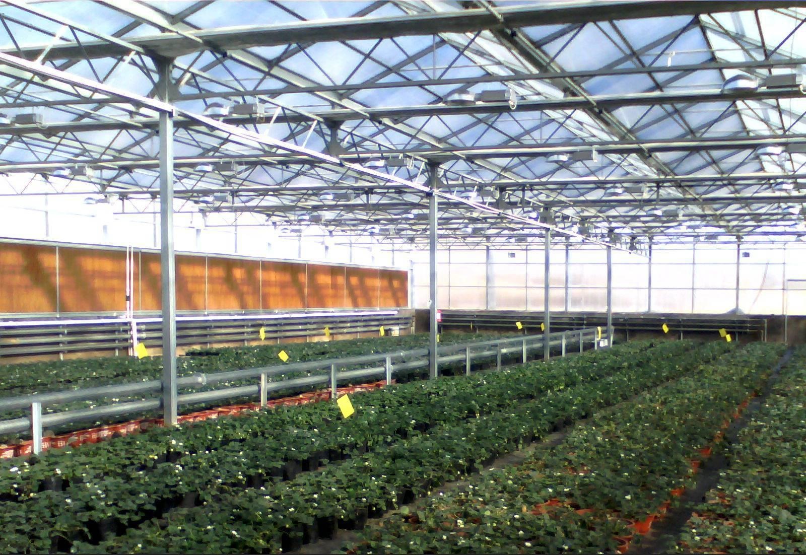 LED植物灯在植物生长设施栽培中的应用研究