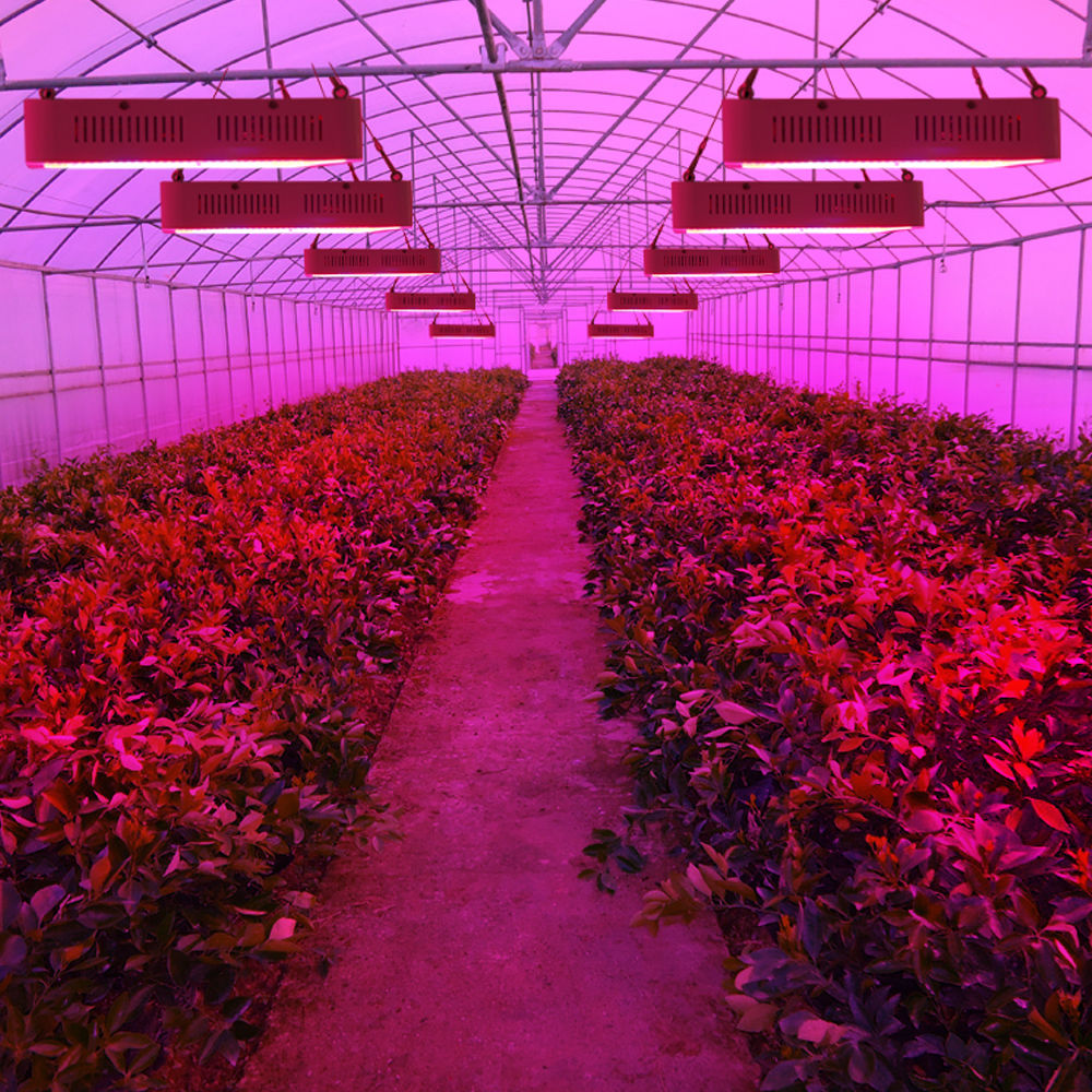 植物生长用LED光照标准进展及体系建议
