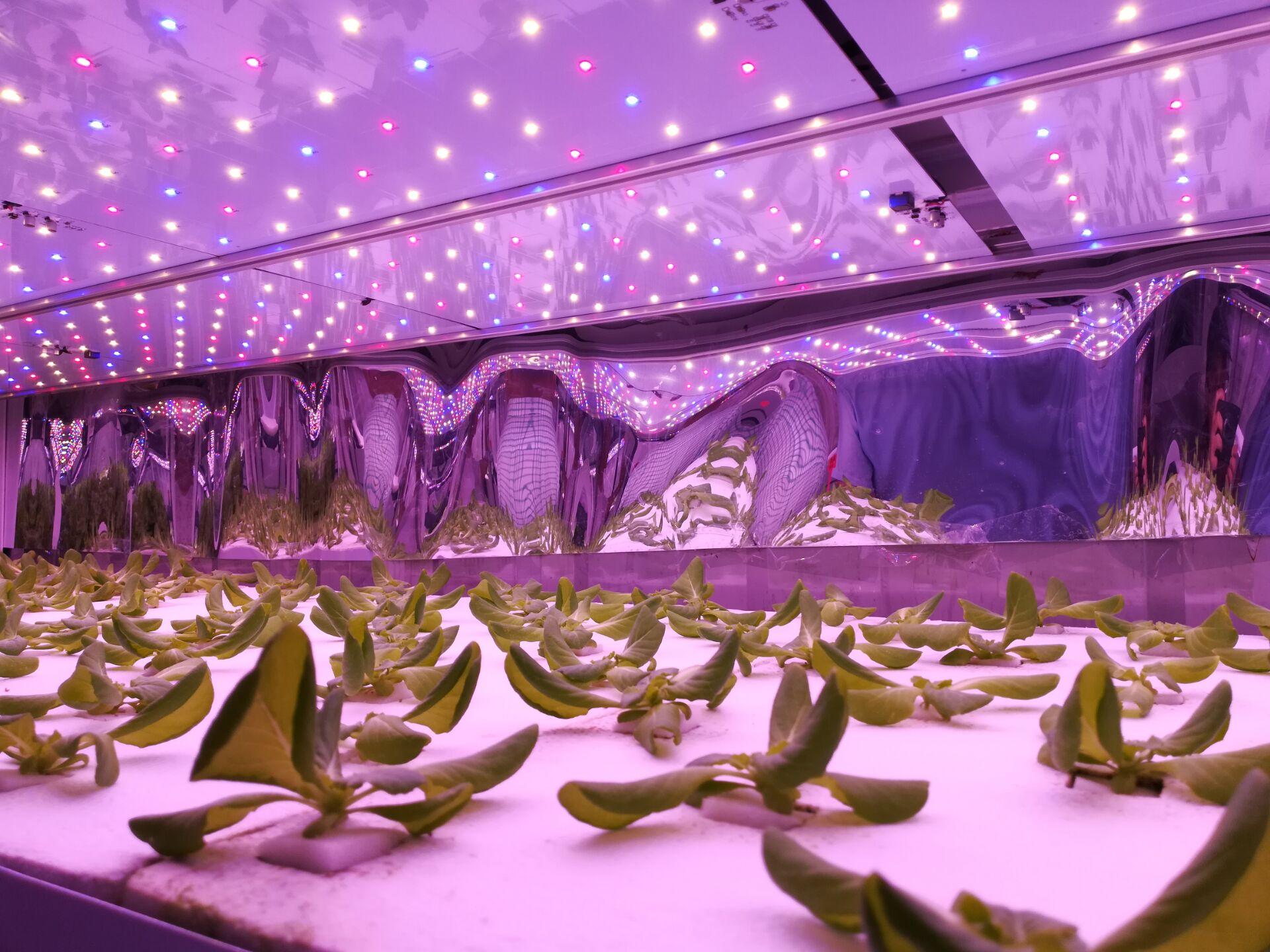 深圳市承越科技专业研发生产各类led植物生长灯，欢迎广大客户来电咨询洽谈。