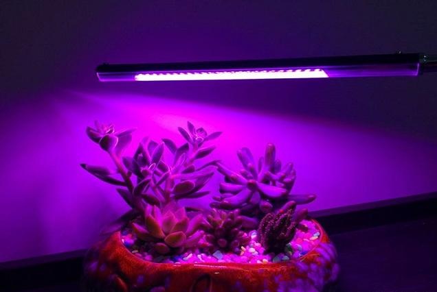 如何提高植物补光灯的使用效率？